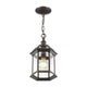 Z-Lite - Annex Outdoor Pendant - Lights Canada
