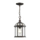 Z-Lite - Annex Outdoor Pendant - Lights Canada