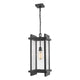 Z-Lite - Fallow Outdoor Pendant - Lights Canada