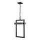 Z-Lite - Luttrel Outdoor Pendant - Lights Canada