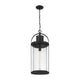 Z-Lite - Roundhouse Outdoor Pendant - Lights Canada