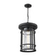 Z-Lite - Jordan Outdoor Pendant - Lights Canada