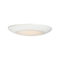 Diverse Flush Mount