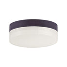 Maxim Lighting - Illuminaire II Flush Mount - Lights Canada