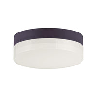 Illuminaire II Flush Mount
