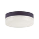 Maxim Lighting - Illuminaire II Flush Mount - Lights Canada