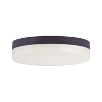Illuminaire II Flush Mount