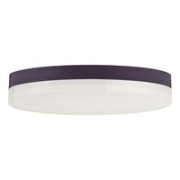 Illuminaire II Flush Mount