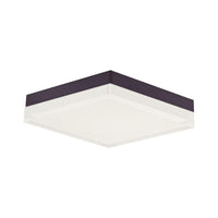 Illuminaire II Flush Mount