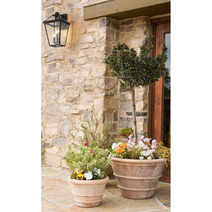 Z-Lite - Talbot Outdoor Wall Light - Lights Canada