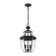 Z-Lite - Westover Outdoor Pendant - Lights Canada