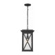 Z-Lite - Brookside Outdoor Pendant - Lights Canada