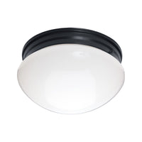 Essentials 2-Light Flush Mount