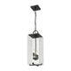 Z-Lite - Sana 3-Light Outdoor Pendant - Lights Canada