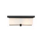 Z-Lite - Sana 4-Light Outdoor Ceiling Light - Lights Canada