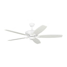 Visual Comfort Fan Collection - Dover 60 Ceiling Fan - Lights Canada