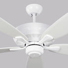 Visual Comfort Fan Collection - Dover 60 Ceiling Fan - Lights Canada