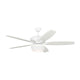 Visual Comfort Fan Collection - Dover 60 Ceiling Fan - Lights Canada