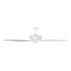 Visual Comfort Fan Collection - Dover 68 Ceiling Fan - Lights Canada