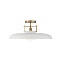 Gavin 1-Light Ceiling Light