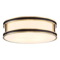 Alberti 4-Light Ceiling Light