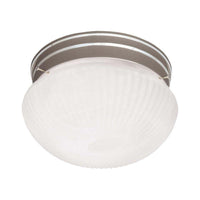 1-Light Ceiling Light