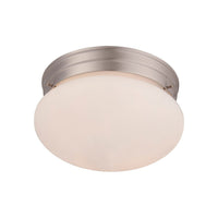 2-Light Ceiling Light