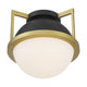 Savoy House - Carlysle 1-Light Ceiling Light - Lights Canada