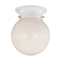 1-Light Ceiling Light