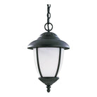 Generation Lighting - Yorktown Outdoor Pendant - Lights Canada