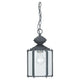 Generation Lighting - Classico Outdoor Pendant - Lights Canada