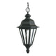 Generation Lighting - Brentwood Outdoor Pendant - Lights Canada