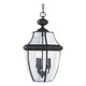 Generation Lighting - Lancaster Outdoor Pendant - Lights Canada