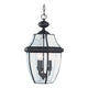 Generation Lighting - Lancaster Outdoor Pendant - Lights Canada