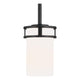 Generation Lighting - Robie Mini Pendant - Lights Canada