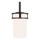 Generation Lighting - Robie Mini Pendant - Lights Canada