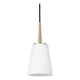 Generation Lighting - Driscoll Mini Pendant - Lights Canada