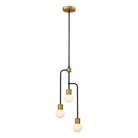 Z-Lite - Neutra Chandelier - Lights Canada