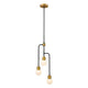 Z-Lite - Neutra Chandelier - Lights Canada