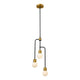 Z-Lite - Neutra Chandelier - Lights Canada