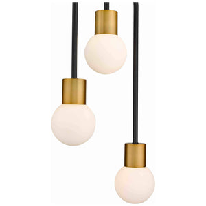 Z-Lite - Neutra Chandelier - Lights Canada