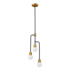 Z-Lite - Neutra Chandelier - Lights Canada