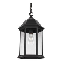 Sevier Outdoor Pendant