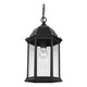 Generation Lighting - Sevier Outdoor Pendant - Lights Canada