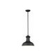 Generation Lighting - Fredricksburg 1-Light Outdoor Pendant - Lights Canada