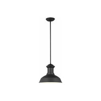Fredricksburg 1-Light Outdoor Pendant (with Bulb)