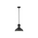 Generation Lighting - Fredricksburg 1-Light Outdoor Pendant (with Bulb) - Lights Canada