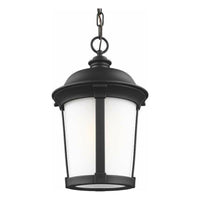 Calder 1-Light Outdoor Pendant (with Bulb)