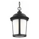 Generation Lighting - Calder 1-Light Outdoor Pendant (with Bulb) - Lights Canada
