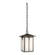 Generation Lighting - Tomek Outdoor Pendant - Lights Canada